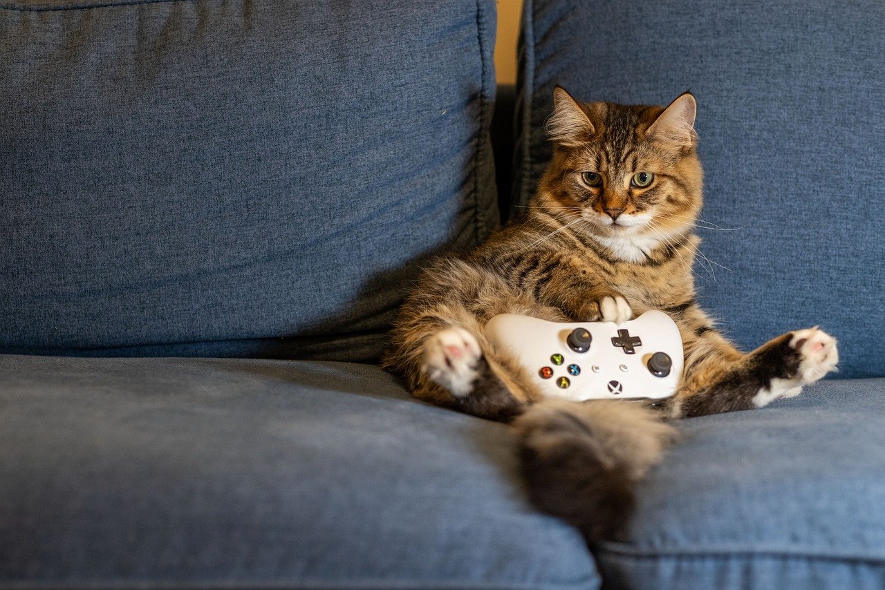 Exploring the Physical Benefits of Gaming for Health Enthusiasts